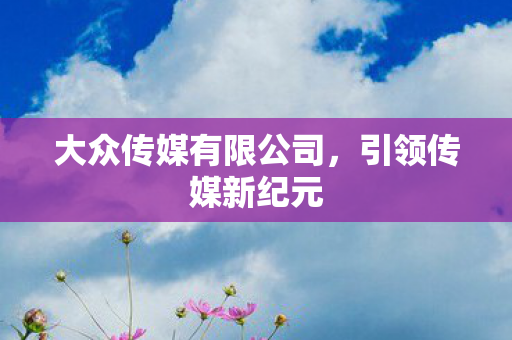 大众传媒有限公司图片