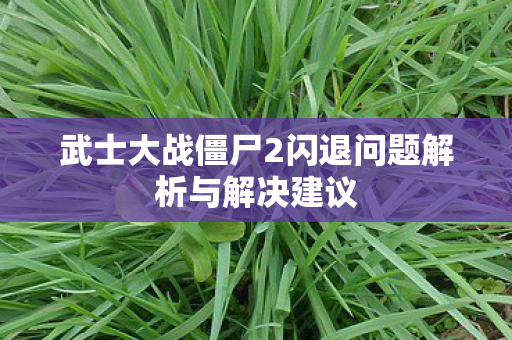 武士大战僵尸2闪退问题解析与解决建议图片