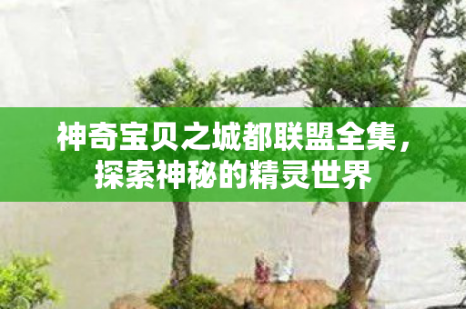 神奇宝贝之城都联盟全集图片
