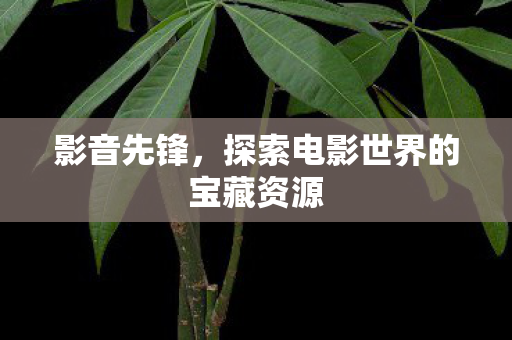 探索电影世界的宝藏资源图片