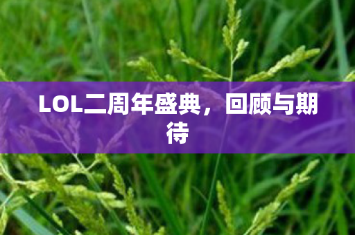 LOL二周年盛典图片