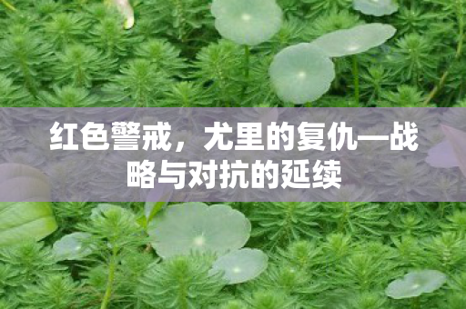 战略与对抗的延续图片