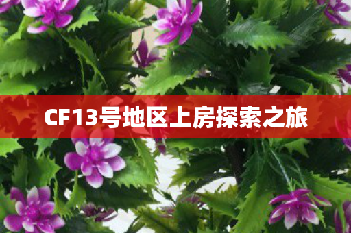 CF13号地区上房探索之旅图片