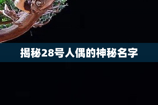 揭秘28号人偶的神秘名字图片