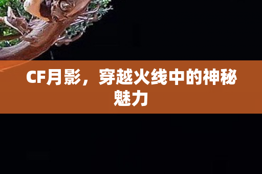 穿越火线中的神秘魅力图片