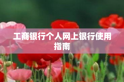 工商银行个人网上银行使用指南图片