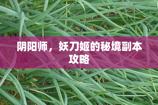 妖刀姬的秘境副本攻略图片