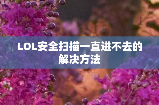 LOL安全扫描一直进不去的解决方法图片