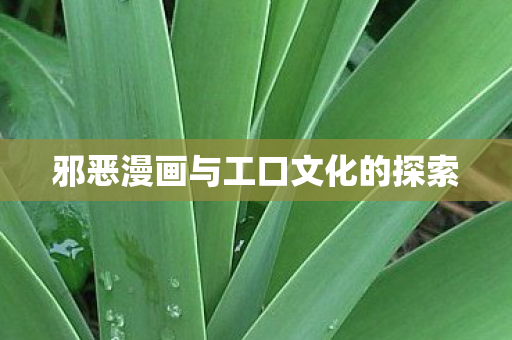 邪恶漫画与工口文化的探索图片