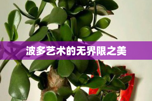 波多艺术的无界限之美图片