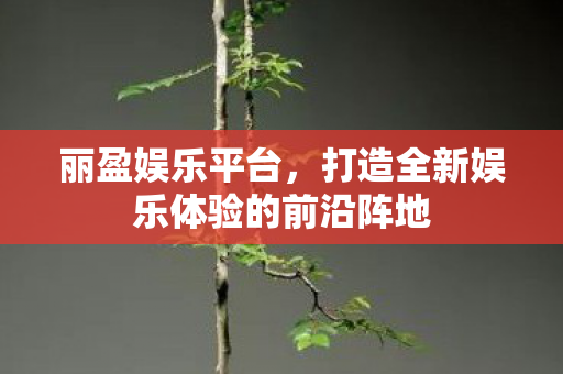 打造全新娱乐体验的前沿阵地图片