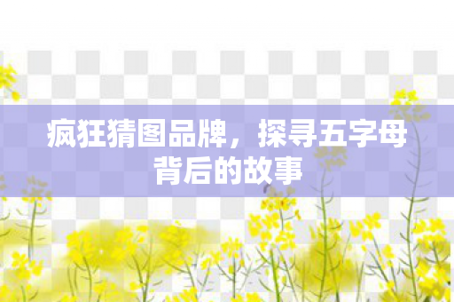 探寻五字母背后的故事图片