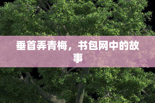 书包网中的故事图片
