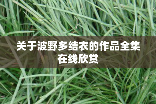 关于波野多结衣的作品全集在线欣赏图片