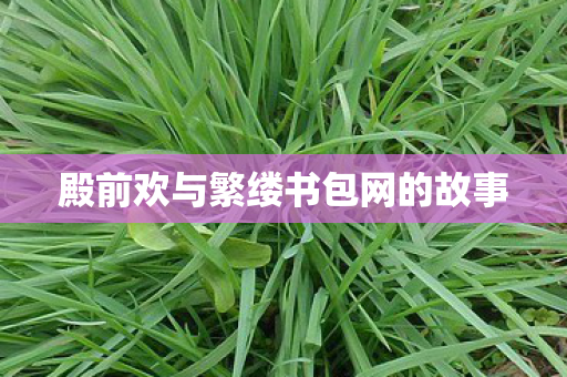 殿前欢与繁缕书包网的故事图片