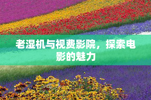 老湿机与视费影院图片