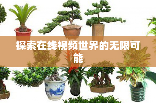 探索在线视频世界的无限可能图片