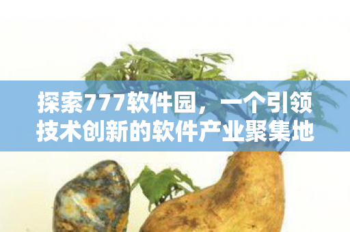 一个引领技术创新的软件产业聚集地图片