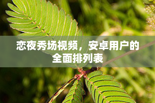 安卓用户的全面排列表图片