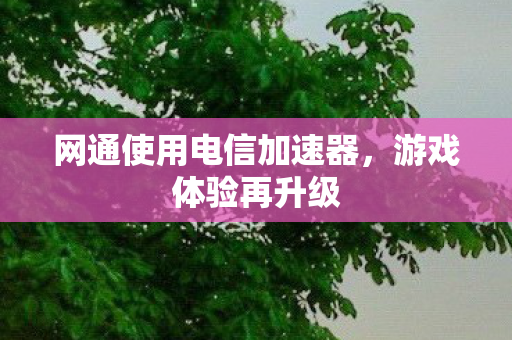 网通使用电信加速器图片