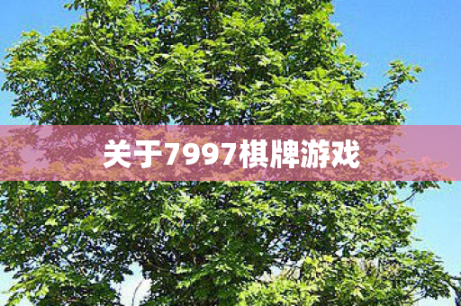 关于7997棋牌游戏图片