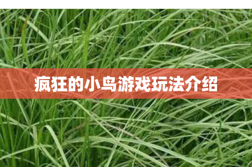 疯狂的小鸟游戏玩法介绍图片