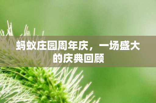一场盛大的庆典回顾图片