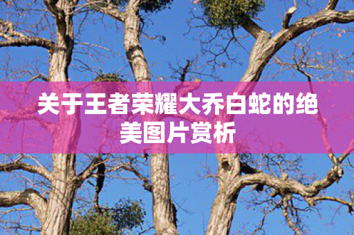 关于王者荣耀大乔白蛇的绝美图片赏析图片