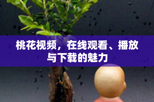 播放与下载的魅力图片