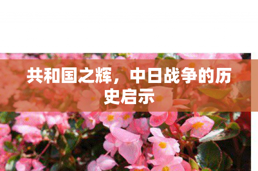 中日战争的历史启示图片