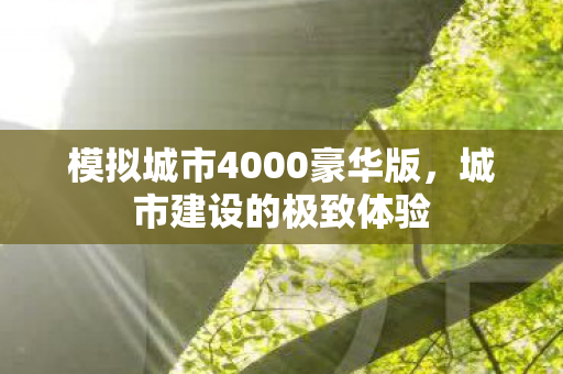 模拟城市4000豪华版图片