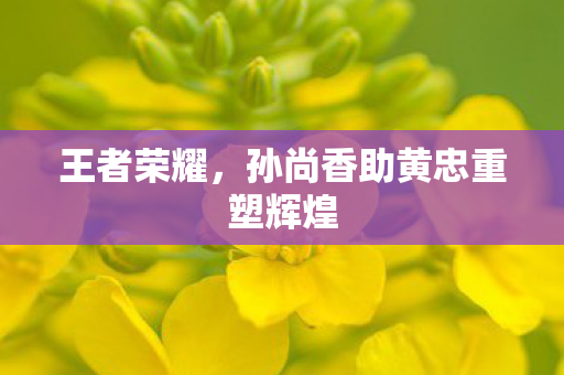 孙尚香助黄忠重塑辉煌图片