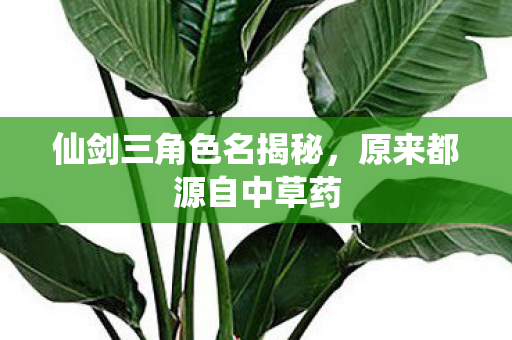 仙剑三角色名揭秘图片