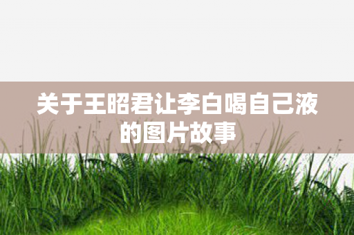 关于王昭君让李白喝自己液的图片故事图片