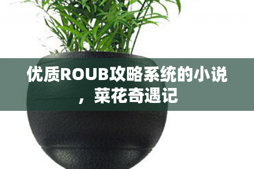 优质ROUB攻略系统的小说图片