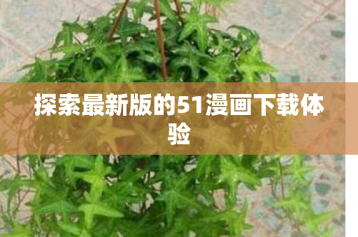 探索最新版的51漫画下载体验图片