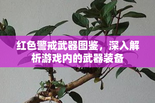 深入解析游戏内的武器装备图片