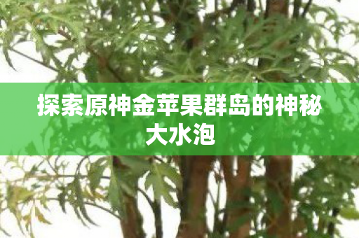 探索原神金苹果群岛的神秘大水泡图片
