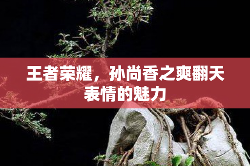 孙尚香之爽翻天表情的魅力图片