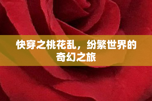 纷繁世界的奇幻之旅图片