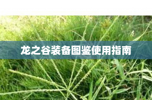 龙之谷装备图鉴使用指南图片