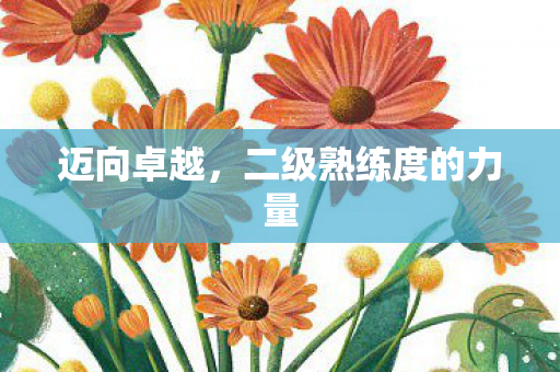 二级熟练度的力量图片