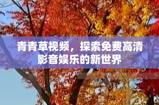 探索免费高清影音娱乐的新世界图片