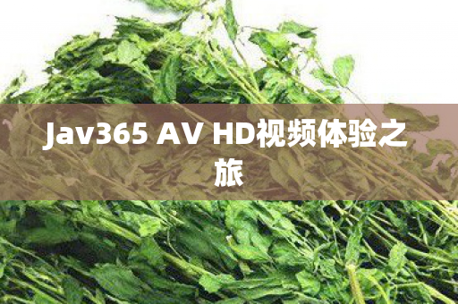 Jav365 AV HD视频体验之旅图片