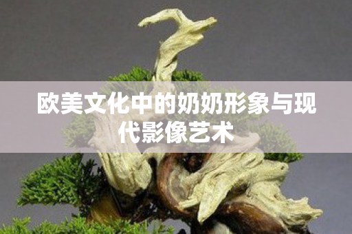 欧美文化中的奶奶形象与现代影像艺术图片