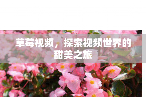探索视频世界的甜美之旅图片