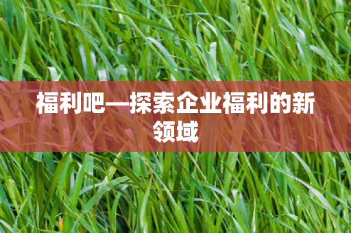 探索企业福利的新领域图片