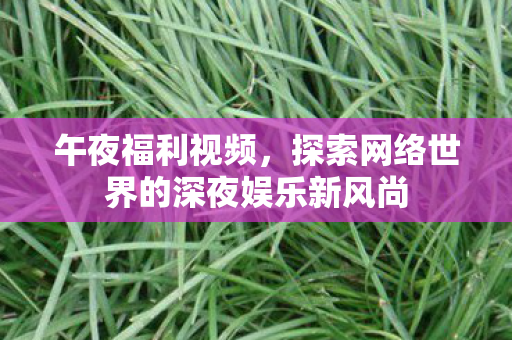 探索网络世界的深夜娱乐新风尚图片