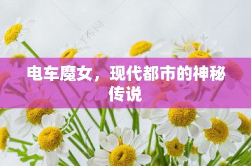 现代都市的神秘传说图片