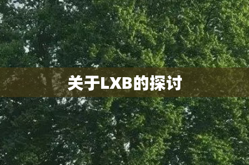 关于LXB的探讨图片